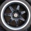 marts 2010 028.jpg